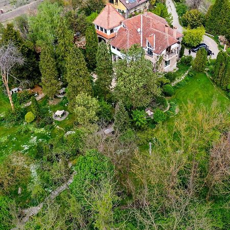 Villa Castelul Maria Banpotoc المظهر الخارجي الصورة