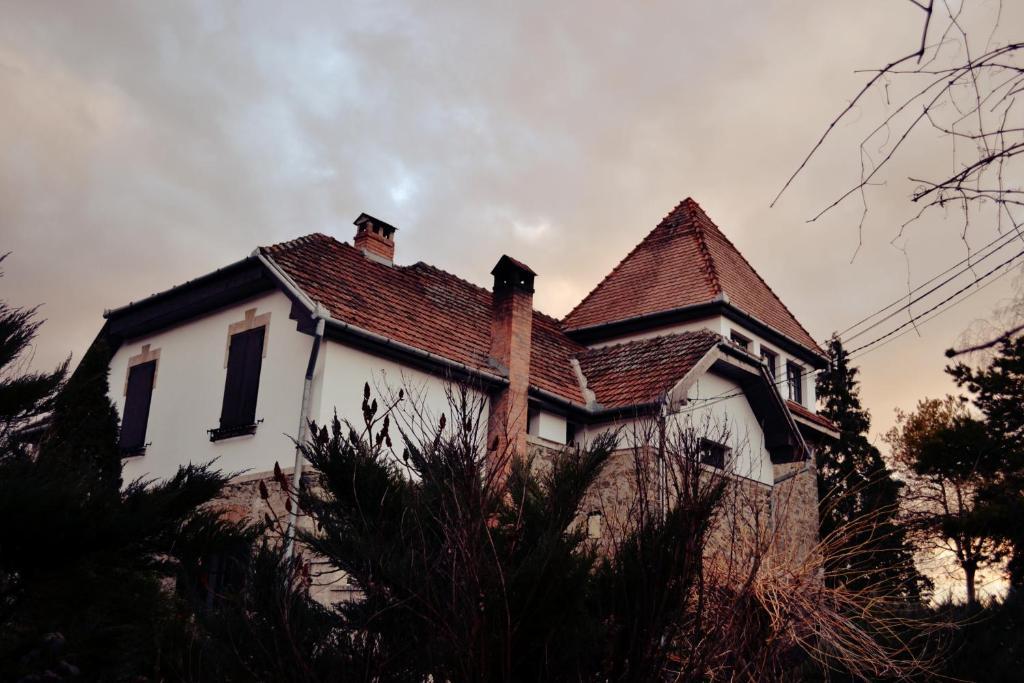 Villa Castelul Maria Banpotoc المظهر الخارجي الصورة